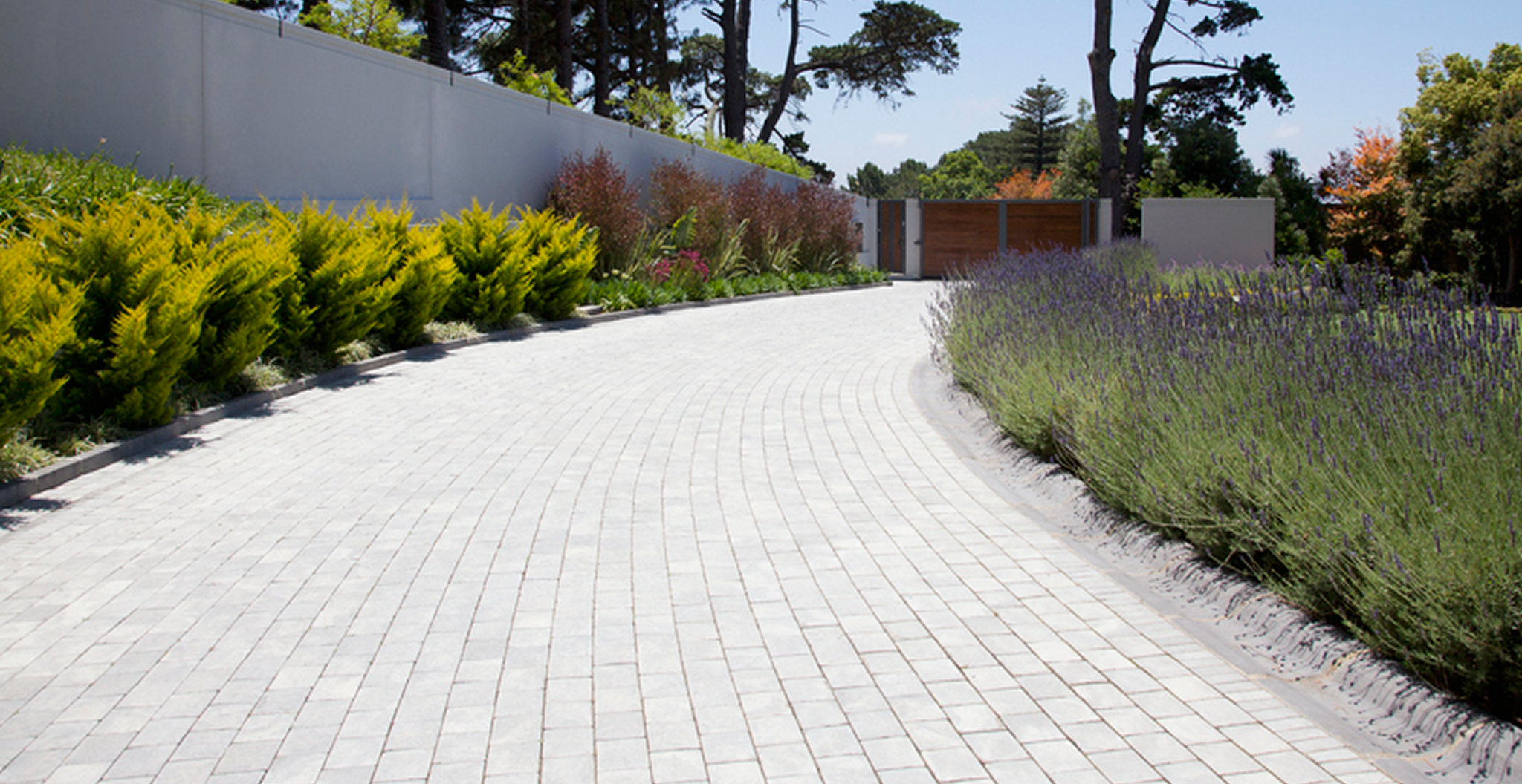 Sunny garden path with colorful foliage