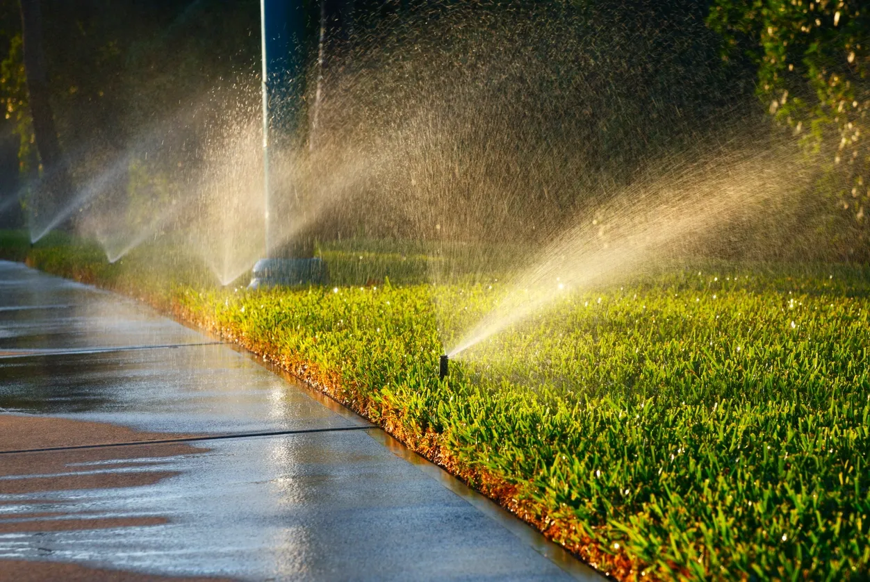 Water sprinklers spraying grass by pavement