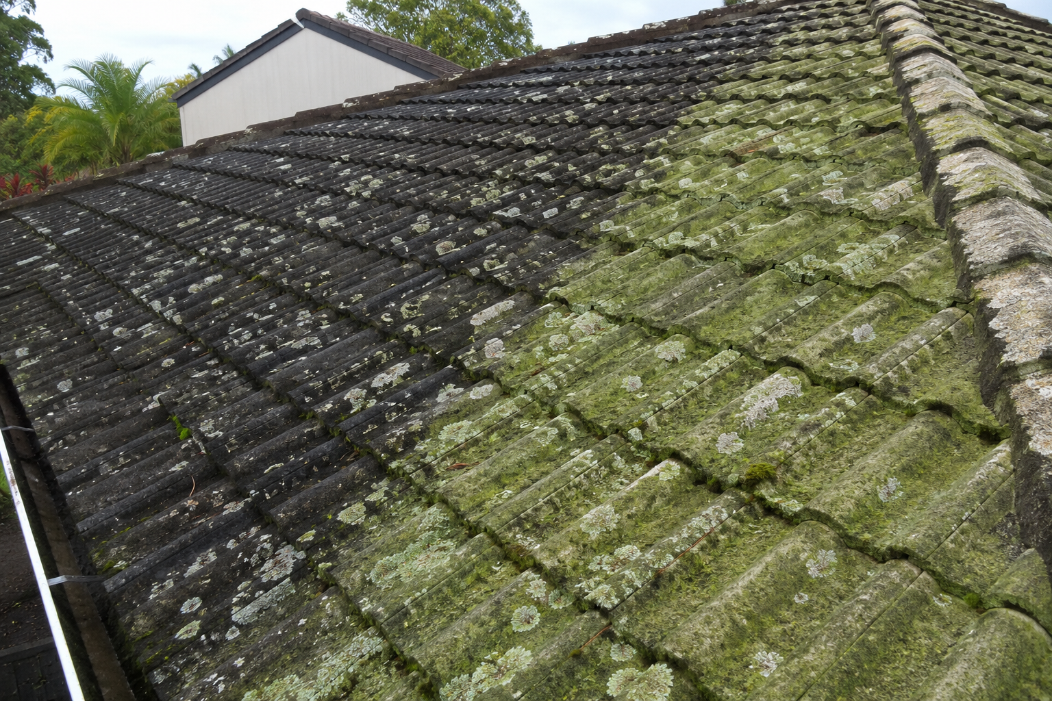 roof